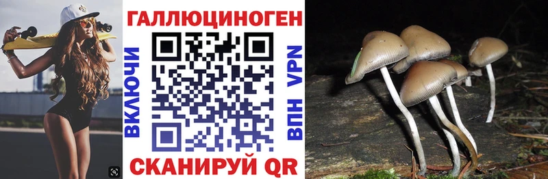 Псилоцибиновые грибы ЛСД  Алупка 